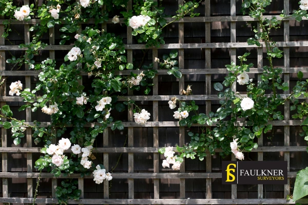 Can I put trellis on my Neighbours garage wall? 2 Do you want to adapt your neighbours garage door and add a trellis Basildon? Talk to Faulkner Surveyor Basildon